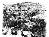 Mount of Olives